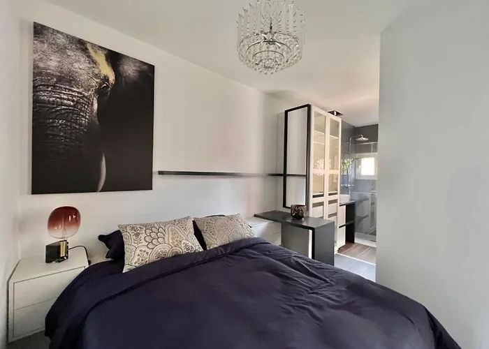 Le Nid De Papillons Cosy, Climatise, Centre, Republique * ディジョン